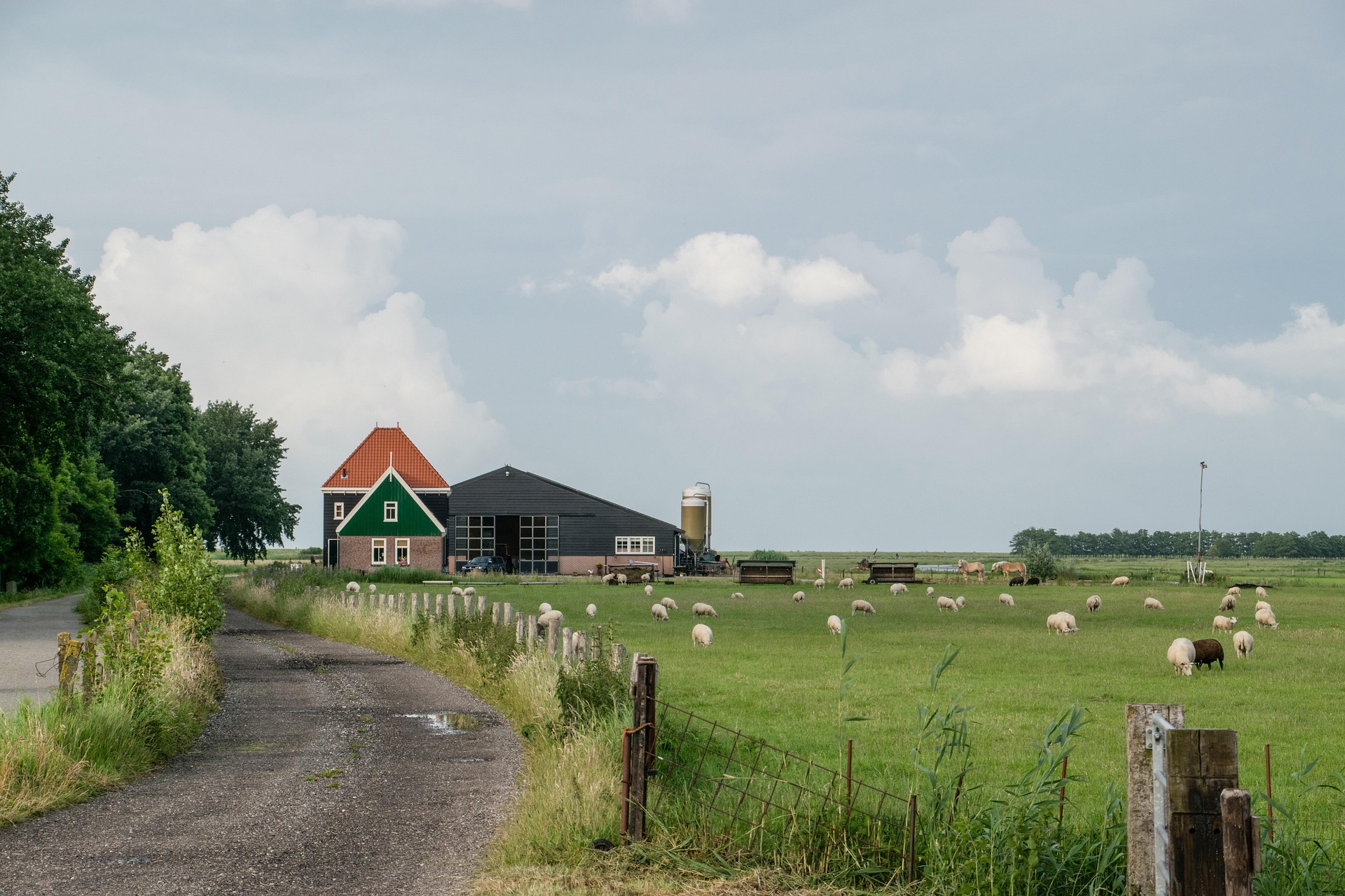 3345557-amsterdam-6577492_1920