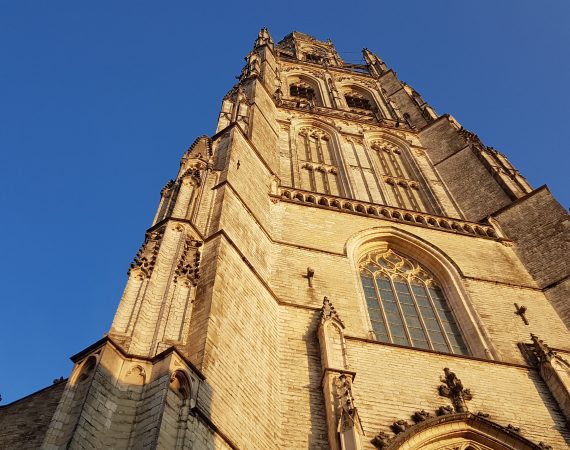 harryfabel-breda-3795351