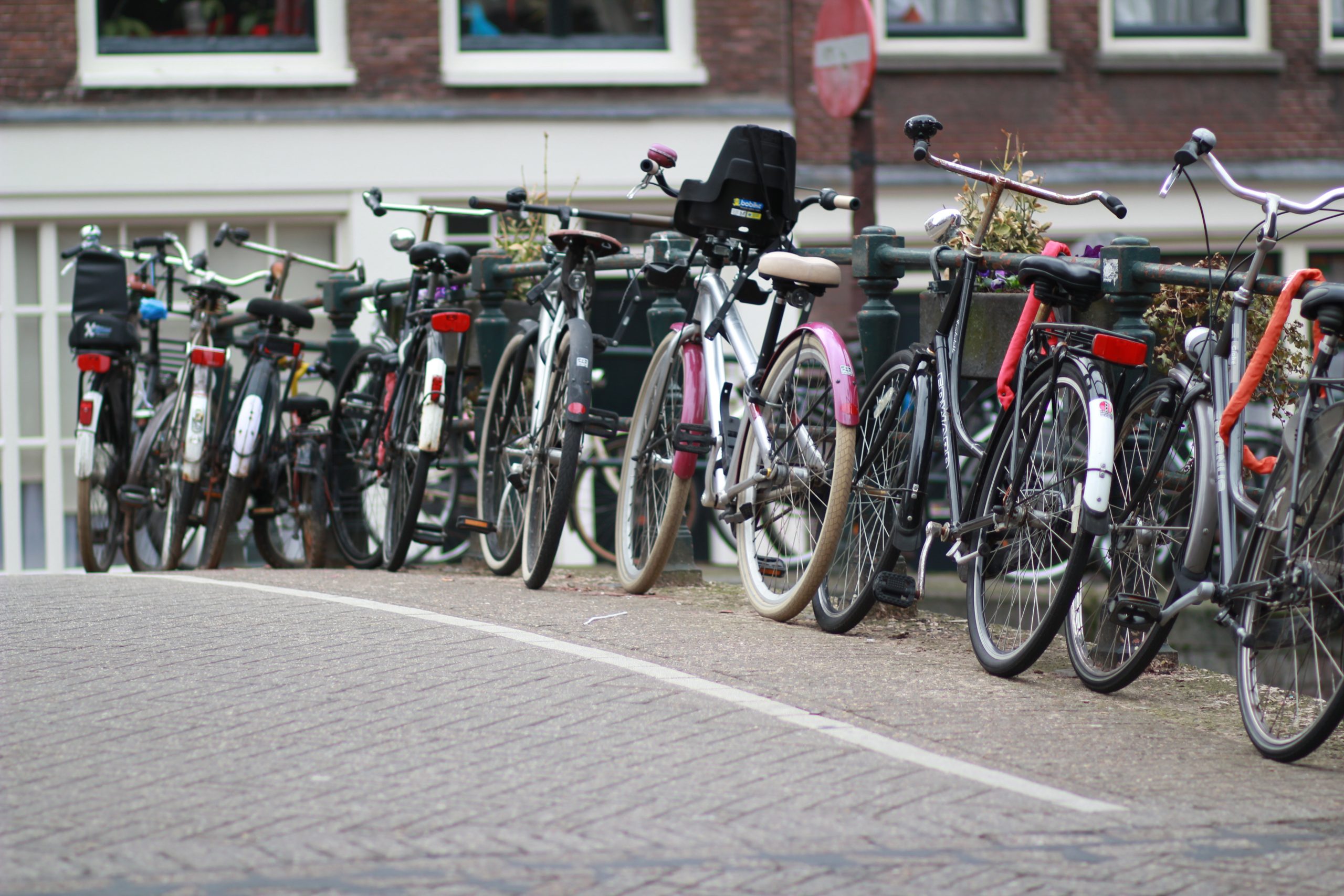 zebkurthnelson-bicycle-1538252